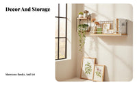 Hanging vial Planter Geometric design aesthetic Wall Vase Hydroponic for Living Room