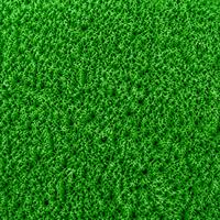 Golf Practice Mat Shot Mat 47cm×23cm PP Turf Home Practice Equipment