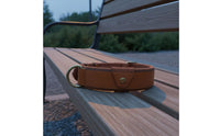 Dog Positioning Device Leather Dog Heavy Duty Buckle for Outdoor, Walking, Travel