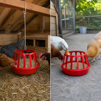 Automatic Chicken Feeder and Waterer Set for Poultry Farming
