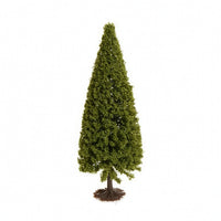 Conical Wire-Trunk Model Tree Compact Simulated Conifer Tree Realistic Diorama Conifer Trees Evergreen for Hobbyists, Architects