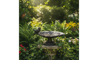 Cast Metal Avian Feeder Freestanding Bird Feeder with Pedestal Sturdy for Gardeners