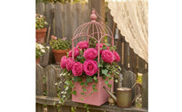 Birdcage Planter Rustic Hanging Metal Planter Decorative for Gardeners, Garden, Patio, Balcony