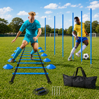 agility training set