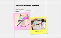 Karaoke mic with stereo speaker