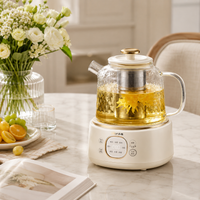 electric kettle