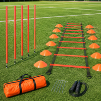 Agility Training Set, Training Equipment, Soccer, Agility, Training Gear, Explosive Power Enhancement, Footwork Practice Ladder, With Storage Bag