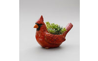 Avian Planter Carved Bird Pot Glazed Container for Plant Lovers, Gardeners, Windowsill, Patio
