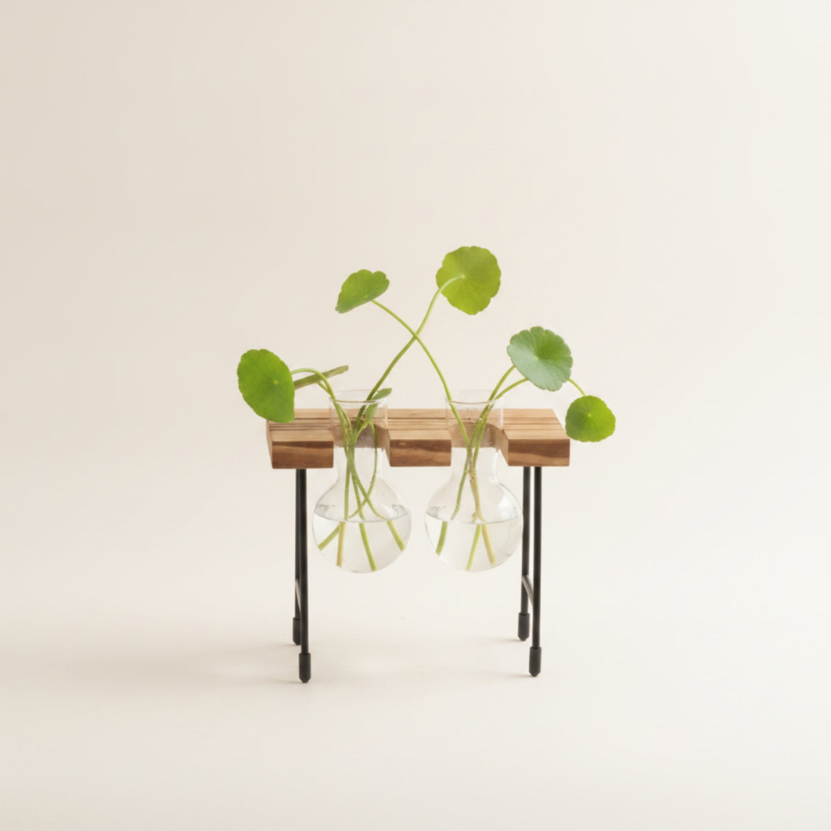 Minimalist Design Glass Bulb Planter with Wooden Stand Crisp Design Hydroponic Vase Stand Easy to Assemble Plant Propagation Station Observe Rooting for Bookshelf