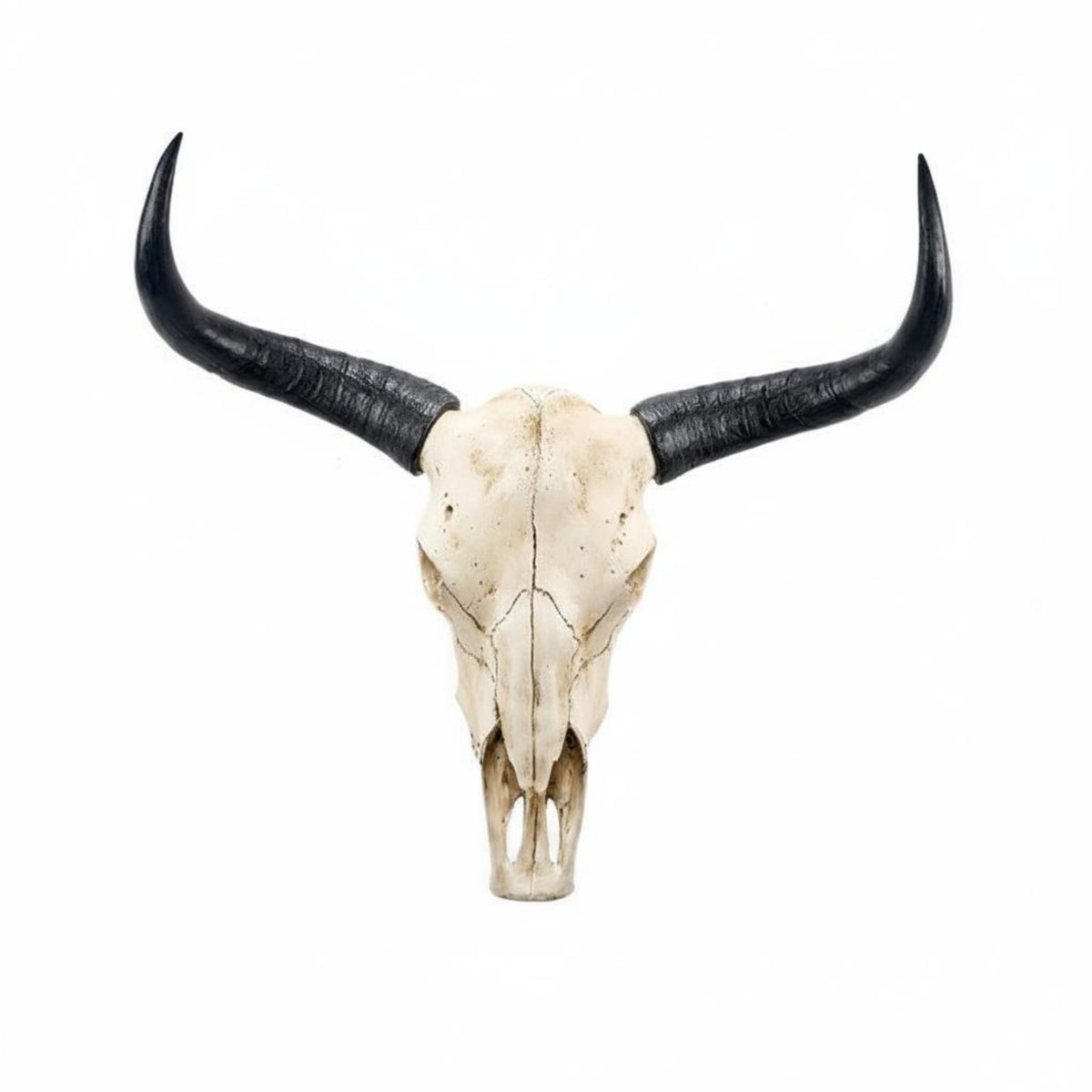 Vintage Finish Bison Head Wall Mount Rustic Faux Bison Skull Decor Realistic Creature Skull Wall Decor Resin for Bar, Restaurant