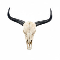 Vintage Finish Bison Head Wall Mount Rustic Faux Bison Skull Decor Realistic Creature Skull Wall Decor Resin for Bar, Restaurant