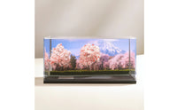 Miniature Display Base with Acrylic 1/64 Model Car Display Case Transparent for Collectors, Shelves, Desks