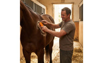 Horse Grooming Brush Stiff Bristles Long-Strand Horse Brush Wood-Look