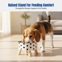 Elevated Pet Bowl, Cat Bowl, Dog Bowl, Stainless Steel, Neck Protection, Single Bowl, Stylish Pattern