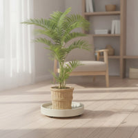 Plant Tray with Wheels Easy to Move Rolling Tray with Wheels Sturdy Furniture Mover for Indoor Garden, Patio