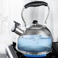 Steaming Kettle Heat-Resistant Handle Whistling Kettle Easy to Clean Stainless Steel Tea Pot for Families, Kitchen