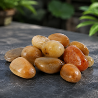 Decorative Pebbles, 2.5kg River Pebble Gravel 2-3cm, Garden Stones for Landscaping, Aquarium & Potted Plants