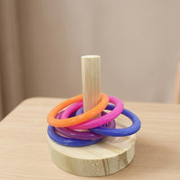 Parrot Training Toy Wood Stacking Rings, Interactive Enrichment Toy for African Grey and Cockatiel, Small Medium Budgie Parrot Activity Set