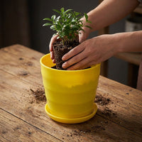 Flower Pots Indoor with Tray, Large Resin Plant Pots for Indoor Plants, Simple Style Flower Pot with Tray, Home Decor Not Easy to Deform