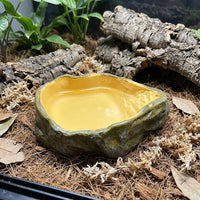 Impact Resistant Bowl Tortoise Water Bowl, Reptile Water Dish Food Bowl, Snake Accessories for Vivarium, Shallow XS DOUBLE-DUTY Dish 2.3cm