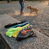 Extendable Dog Teasing Wand with Rope Toys Portable Retractable Flirt Pole with Tassels Lightweight Teaser Wand with Rope Sturdy for Young Dogs