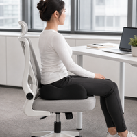 seat cushion and back support set