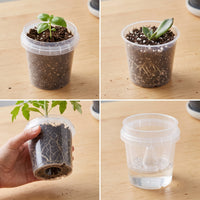 Transparent Orchid Pot with Ventilation, Root Control, and Outer Pot for Seedling Cultivation