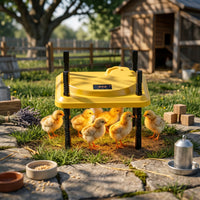 Glowing Chick Heater Wireless Controller Control Adjustable Heating Plate Poultry Brooder Yellow Farm Supply Portable for Chicks