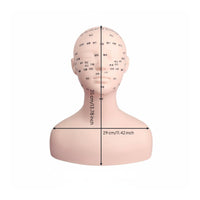 Realistic Skin Feel Acupressure Point Practice Model Soft Material Manikin Head Shoulder Bust Professional Grade for Students, Beauty School