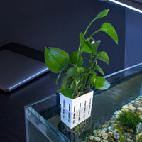 Wall-Mounted Aquatic Plant Basket Aesthetic Decoration Fish Tank Plant Holder Sturdy and Hanging Aquarium Planter
