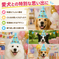 Dog Birthday Goods, Birthday Hat, Felt, Embroidered, For Large Dogs, 15cm