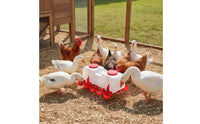 Ground-Standing Chicken Waterer with Cups Weight-operatedFed Automatic Poultry Drinker Large Poultry Waterer Easy-Install for Ducks, Geese, Farm