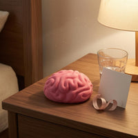 Raised Grooves Brain Squishy Toy Pink Brain Stress Ball Slow Rising Anatomy Stress Ball Handheld