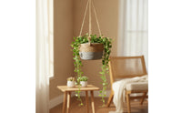 Braided Hanging Planter Basket with Plastic Liner Natural Hanging Planter with Liner Rustic Decorative for Balcony, Window