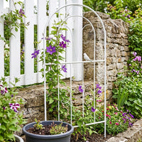 Large Metal Garden Trellis 120cm x 50cm, Sturdy Iron Plant Support for Climbing Plants, Outdoor Decorative Trellis for Roses & Vines