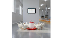 Heavy Duty Automatic Chicken Feeder with Lid Easy to Clean Plastic Poultry Feed Container Rustproof for Backyard
