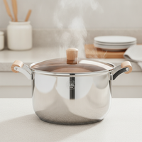 316 Stainless Steel Stockpot with Lid, Food Grade, Induction Cooktop Compatible, for Home Kitchen