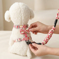 Cat Vest Harness and Leash Set, Adjustable Nylon Cat Walking Harness, No Pull Training Lead for Outdoor Travel