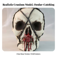 Authenticistic Skull Model Portable Halloween Decoration Reusable