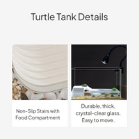 Glass Turtle Tank with Filter and Lamp for Desktop