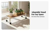With Wheels Rolling Flower Rack Space Saving Rolling Plant Holder Heavy Duty Multi-Tier Plant Stand Easy Assembly for Balcony, Living Room, Indoor, Patio