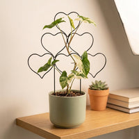 Indoor Plants Garden Trellis for Climbing Plants, Metal Support for Potted Plants, Stackable Stainless Steel Design, 37cm Height Outdoor Frame