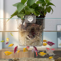 Space-Saving Wall-Mounted Aquarium Planter High Clarity Hanging Aquatic Aquarium Plant Cup Thickened Material Aquascape Decoration Adjustable Screw Mount for Aquascapers