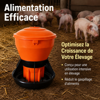 Automatic Piglet Feeder, 6-Compartment Sow Litter Piglet Feeder, Anti-Waste Polymer Pig Trough