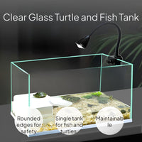 Glass Turtle Tank with Filter and Lamp for Desktop