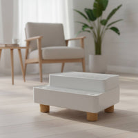 Double-Layer Cat Litter Sifting Tray with Wooden Feet Low-Height Litter Box with Sifter Long-Lasting Pet Supply Comfortable for Apartments