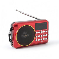 Carry Strap Multi-Band Bluetooth Radio Display Window Home Electronics USB Cable Sound Gadget Battery Powered