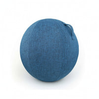Fitness Ball Cover with Handle Long-Lasting Fitness Ball Cover Skin-Friendly Wear-Resistant for Yogis, Pilates, Home Gym