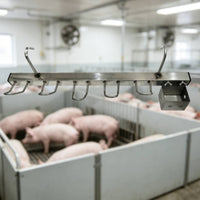 Heavy-Duty Metal Hanging Pig Frame Welded Pig Hanger with Hooks Wall-Mounted Hardware for Slaughterhouse