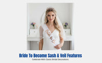 Bridal Tiara, Shimmering Soft Veil & Sash Set, Princess Theme, Party Accessory
